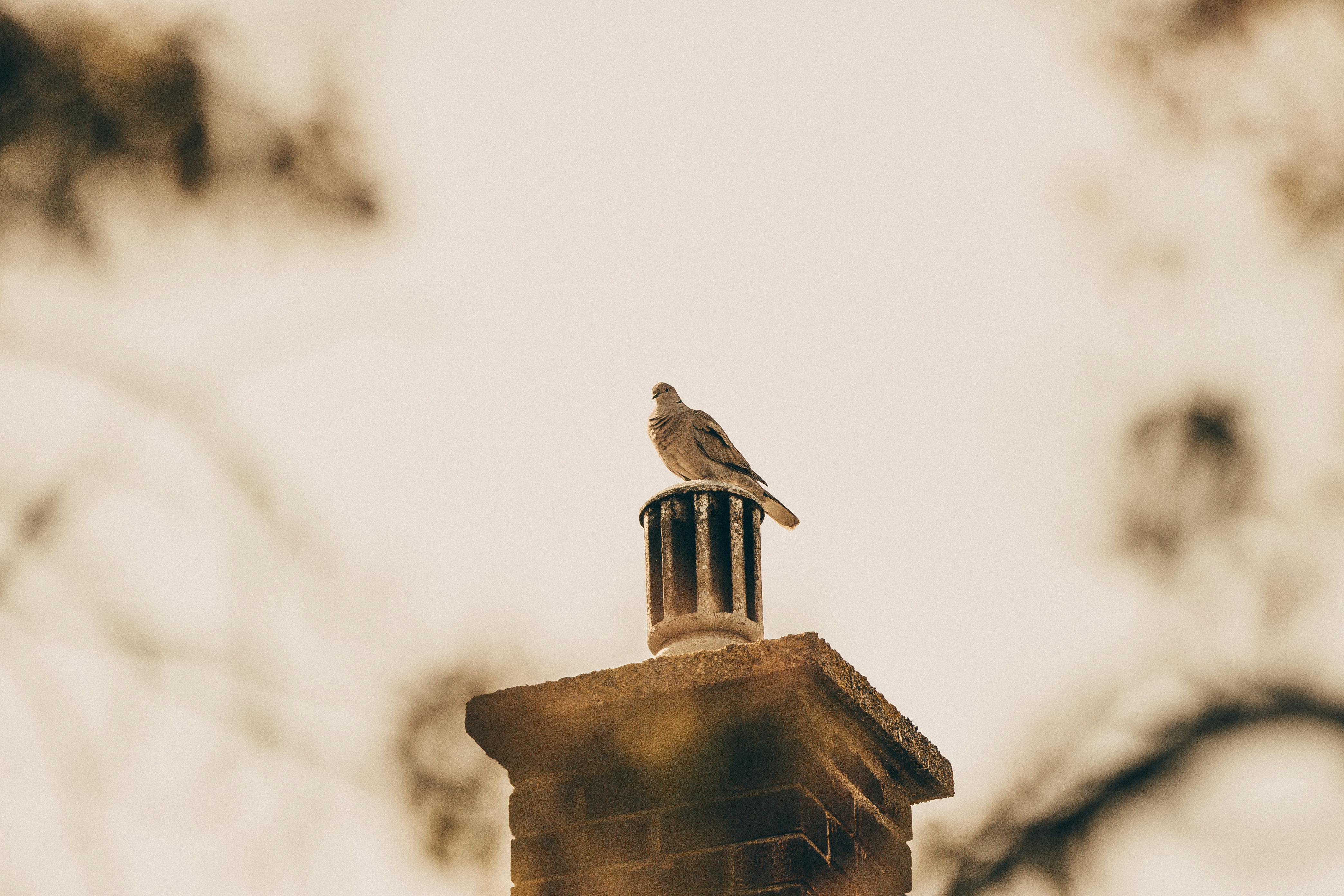 Expert Chimney Cap Installation in Rancho Santa Margarita, California
